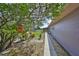 Side view of the home featuring yard maintenance equipment, siding and pool at 13208 Sydney Rd, Dover, FL 33527