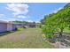 Exterior view showing the spacious backyard and surrounding trees at 13208 Sydney Rd, Dover, FL 33527