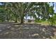 Mature trees provide shade over the grass and bare dirt yard on this large lot at 13208 Sydney Rd, Dover, FL 33527