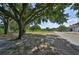 Mature trees provide shade over the grass and bare dirt yard on this large lot at 13208 Sydney Rd, Dover, FL 33527