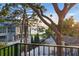 Backyard view from a balcony overlooking a lush yard and bay waters at 1542 Bayshore Blvd, Dunedin, FL 34698