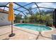 Screened-in pool area with a well-maintained pool and lush landscaping at 15630 N Himes Ave, Tampa, FL 33618