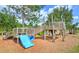 Community playground with slides, climbing structures and natural wood features at 16930 Red Brick Ln, Land O Lakes, FL 34638