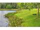 Scenic pond view with lush grassy shoreline and mature trees along the water's edge at 16930 Red Brick Ln, Land O Lakes, FL 34638