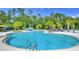 Community swimming pool with water slide, play features, and plenty of seating at 16930 Red Brick Ln, Land O Lakes, FL 34638