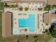 Aerial view of a community pool, lounging areas, and meticulously kept landscaping at 2212 Lark W Cir # E, Palm Harbor, FL 34684