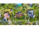 Aerial view of the property showcasing the home's location among lush trees and landscaping at 2932 Chelsea Woods Dr, Valrico, FL 33596