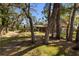 Lush backyard with mature trees, fence, and a screened-in lanai at 2932 Chelsea Woods Dr, Valrico, FL 33596