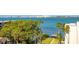 Waterfront view showcasing palm trees and clear blue water at 30 Turner St # 604, Clearwater, FL 33756