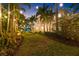 Lush backyard with manicured lawn, mature trees, and festive string lighting at dusk at 356 22Nd Ne Ave, St Petersburg, FL 33704