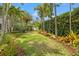 Manicured backyard showcasing palm trees and verdant lawn, creating a tranquil and picturesque outdoor oasis at 356 22Nd Ne Ave, St Petersburg, FL 33704