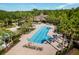 Resort-style pool with lounge chairs, set amidst lush landscaping and palm trees at 4105 Waterville Ave, Wesley Chapel, FL 33543