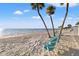 Inviting beach scene with swaying palm trees and comfortable Adirondack chairs by the tranquil ocean at 5537 Sea Forest Dr # 304, New Port Richey, FL 34652