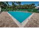 A pristine community pool with deck chairs, umbrellas, and lush green surroundings at 678 Greenglen Ln, Palm Harbor, FL 34684