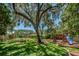 Community playground featuring lush green grass, mature trees, playground equipment, picnic tables at 678 Greenglen Ln, Palm Harbor, FL 34684