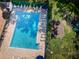 Aerial view of a sparkling community pool with sun loungers, umbrellas and lush landscaping at 678 Greenglen Ln, Palm Harbor, FL 34684