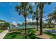 Community Tennis Courts framed by mature palms, lush landscaping and a bright blue sky at 678 Greenglen Ln, Palm Harbor, FL 34684