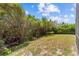 Lush backyard featuring vibrant green grass and mature trees along the perimeter at 731 Waterside Ct, Tarpon Springs, FL 34689