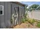A gray wooden shed with open double doors surrounded by lush greenery in the backyard at 13785 Oak Forest S Blvd, Seminole, FL 33776