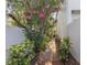 A tranquil side yard pathway, bordered by lush flowering shrubs and plants at 202 S Lincoln Ave, Tampa, FL 33609