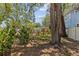 View of fenced backyard, offering privacy and security and featuring mature trees for shade and a natural setting at 3025 50Th St S S St, Gulfport, FL 33707