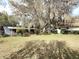 Spacious backyard with lush grass, mature trees, palms, and several buildings creating a serene outdoor oasis at 38327 Palm Grove Dr, Zephyrhills, FL 33542