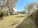 Expansive backyard with lush grass, mature palms and trees bordering a wooden fence for privacy at 38327 Palm Grove Dr, Zephyrhills, FL 33542