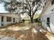 Backyard featuring mature trees and a spacious yard at 38327 Palm Grove Dr, Zephyrhills, FL 33542