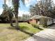 A single-story brick home with palm trees in the front yard at 38327 Palm Grove Dr, Zephyrhills, FL 33542