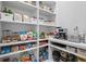 Well-stocked pantry with an array of items organized on white shelving with small kitchen appliances at 4300 Bayshore Ne Blvd, St Petersburg, FL 33703