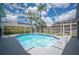 Sparkling in-ground pool enclosed with a screen, surrounded by lush landscaping at 4761 Stoneview Cir, Oldsmar, FL 34677