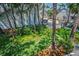 Private lush backyard with mature trees and landscaped grounds at 5115 S Jules Verne Ct, Tampa, FL 33611