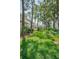 Lush backyard featuring green grass surrounded by trees, shrubs, and balconies at 5115 S Jules Verne Ct, Tampa, FL 33611