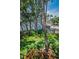 Private lush backyard with mature trees and landscaped grounds at 5115 S Jules Verne Ct, Tampa, FL 33611