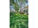 Backyard with manicured lawn and mature shade trees around condos at 5115 S Jules Verne Ct, Tampa, FL 33611
