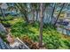 Private lush backyard with mature trees and landscaped grounds at 5115 S Jules Verne Ct, Tampa, FL 33611
