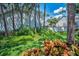 Nicely landscaped grounds with green grass, bushes, and various sized trees at 5115 S Jules Verne Ct, Tampa, FL 33611