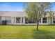 Backyard of the house with a tree and a screened-in porch at 1046 Almondwood Dr, Trinity, FL 34655