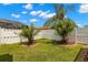 Fenced backyard with well-maintained lawn, attractive landscaping, and tropical palm tree at 12925 Tar Flower Dr, Tampa, FL 33626