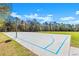 Full basketball court featuring blue lines and well maintained landscaping at 12925 Tar Flower Dr, Tampa, FL 33626