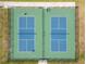 Aerial view of two fenced pickleball courts, showing game in progress at 12925 Tar Flower Dr, Tampa, FL 33626