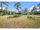 Expansive grassy lot with mature trees at 18838 Huckavalle Rd, Odessa, FL 33556