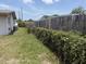 Fenced backyard featuring a wood privacy fence partially covered in vines and grass at 1905 Meridel Ave, Tampa, FL 33612