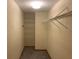 Empty walk-in closet with shelving at 35209 Dolphin Lake Dr, Zephyrhills, FL 33541