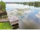 Aerial view of a lake with a wooden dock and gazebo surrounded by lily pads at 4141 Dolphin Dr # 4141, Tampa, FL 33617