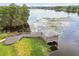 Stunning aerial view of a lake with a gazebo, surrounded by lush landscaping, showing its prime location at 4141 Dolphin Dr # 4141, Tampa, FL 33617