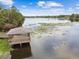 Aerial view of a gazebo on a lake, connected by a wooden dock at 4141 Dolphin Dr # 4141, Tampa, FL 33617