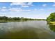 Community lake view featuring clear skies, natural greenery, and calm water at 4141 Dolphin Dr # 4141, Tampa, FL 33617