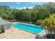 Large community pool with brick pavers, surrounded by lush landscaping and a secure fence at 4141 Dolphin Dr # 4141, Tampa, FL 33617