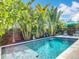Backyard pool area surrounded by lush tropical plants and lounge chairs, perfect for relaxation at 4231 8Th N St, St Petersburg, FL 33703